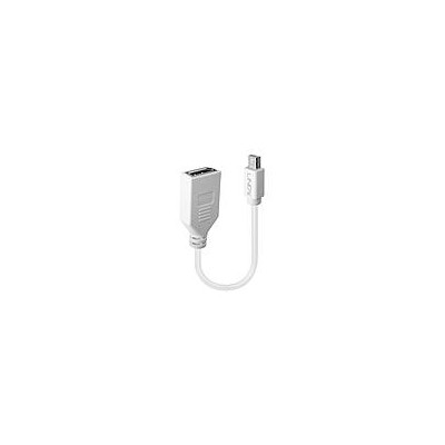 Câble adaptateur Mini DP (M) vers DP (F) Premium, blindé