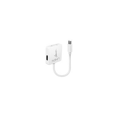 Convertisseur Mini DisplayPort 1.2 vers DisplayPort 1.2, HDMI & DVI 