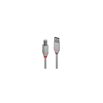 Câbles USB 2.0 type A vers B, Anthra Line, Gris, 50 pièces de 3m